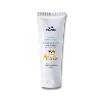 Farbglanz Hundeshampoo