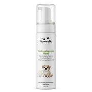 Trockenshampoo Hund
